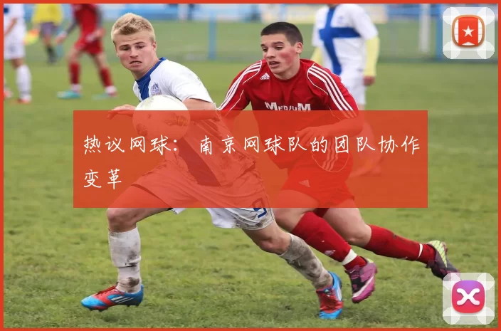 热议网球：南京网球队的团队协作变革