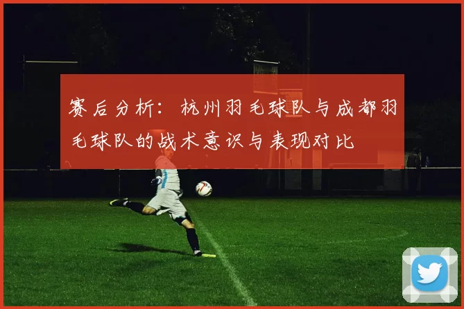 赛后分析：杭州羽毛球队与成都羽毛球队的战术意识与表现对比