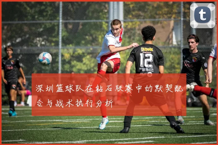 深圳篮球队在钻石联赛中的默契配合与战术执行分析