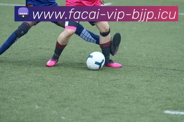 乐鱼体育平台生态图