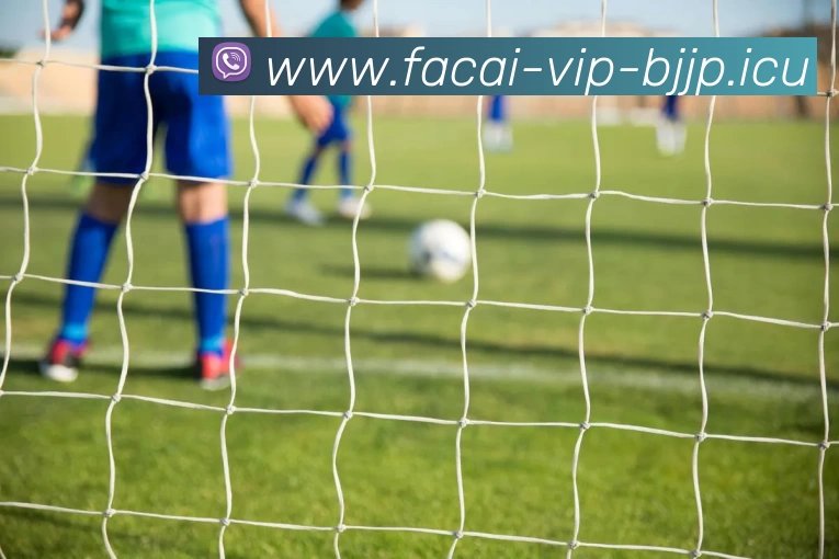 乐鱼体育APP 封面图